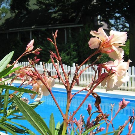 Guest House Westwood Kraljevec Kupinecki Δωμάτιο φωτογραφία
