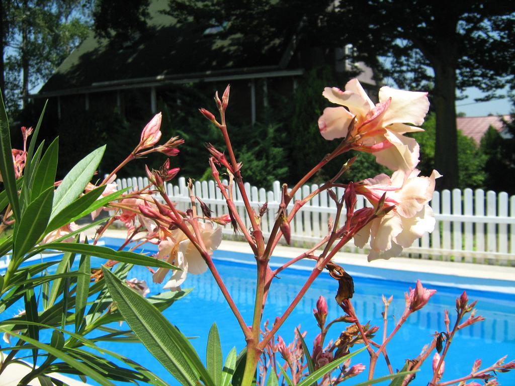 Guest House Westwood Kraljevec Kupinecki Δωμάτιο φωτογραφία